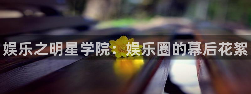 pg电子麻将胡了最大奖：娱乐之明星学院：娱乐圈的幕后花絮