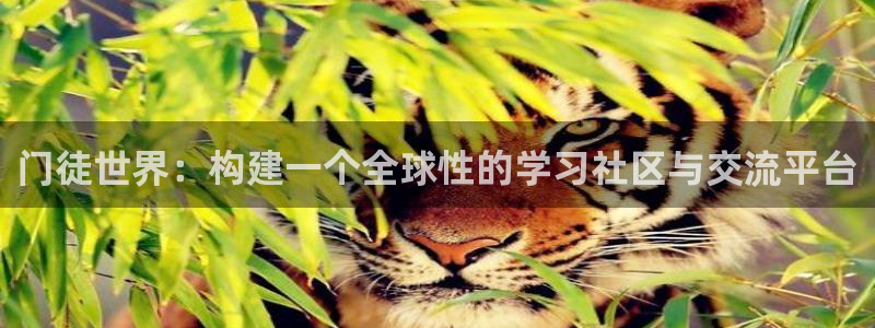 pg电子麻将胡了2技巧：门徒世界：构建一个全球性的学习社区与交流平台