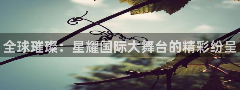 pg麻将胡了的技巧：全球璀璨：星耀国际大舞台的精彩纷呈