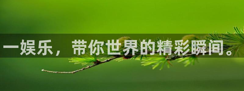 pg电子玩法：一娱乐，带你世界的精彩瞬间。