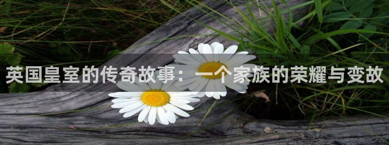 pg模拟电子 电玩：英国皇室的传奇故事：一个家族的荣耀与变故
