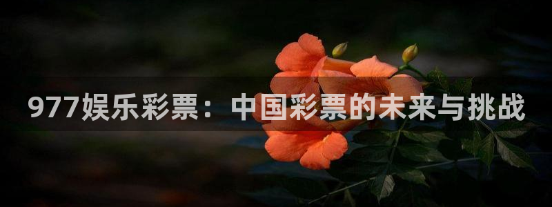 模拟pg赏金女王在线玩：977娱乐彩票：中国彩票的未来与挑战