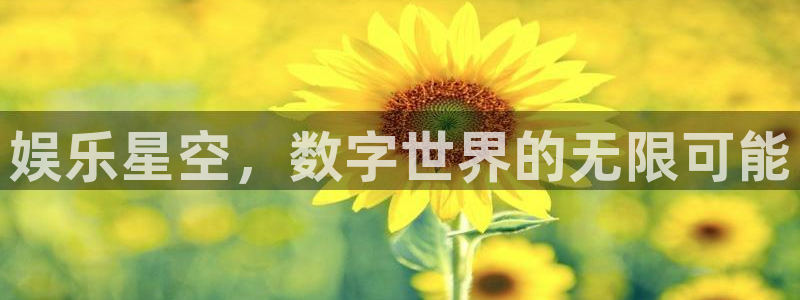 pg女王赏金：娱乐星空，数字世界的无限可能