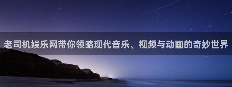 wd28电子pg：老司机娱乐网带你领略现代音乐、视频与动画的奇妙世界