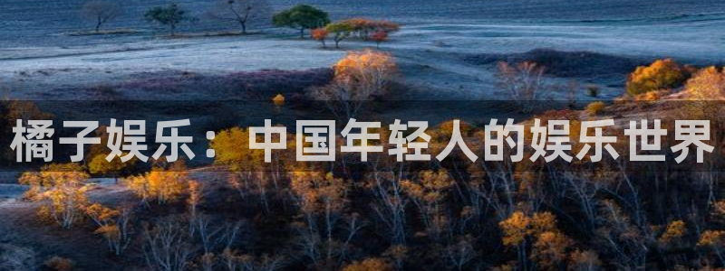pg游戏免费试玩：橘子娱乐：中国年轻人的娱乐世界